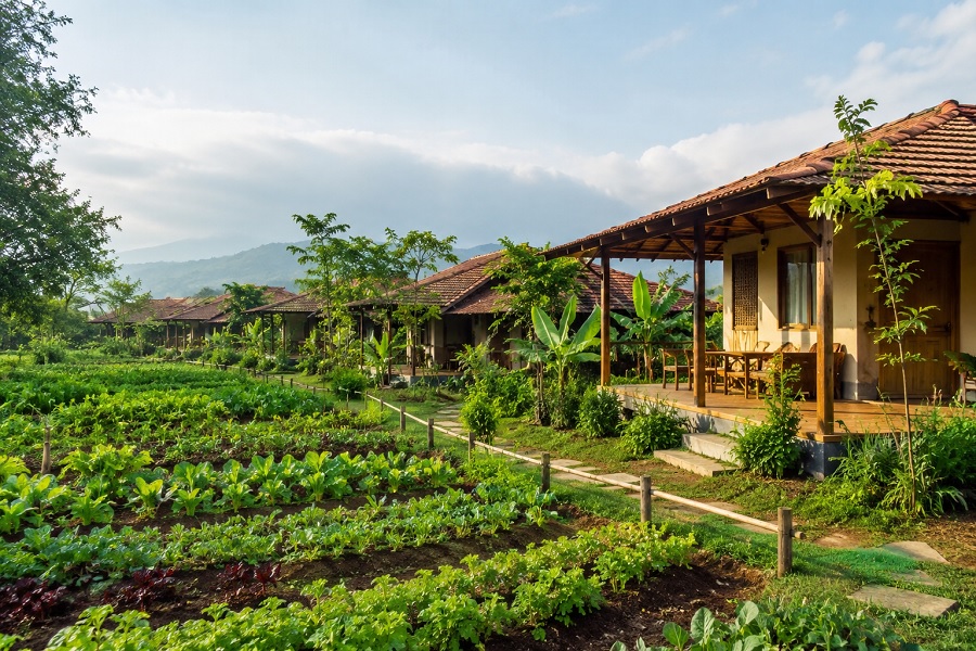 Eco Farm Resorts: Best Sustainable Nature Retreats for a Peaceful Holiday